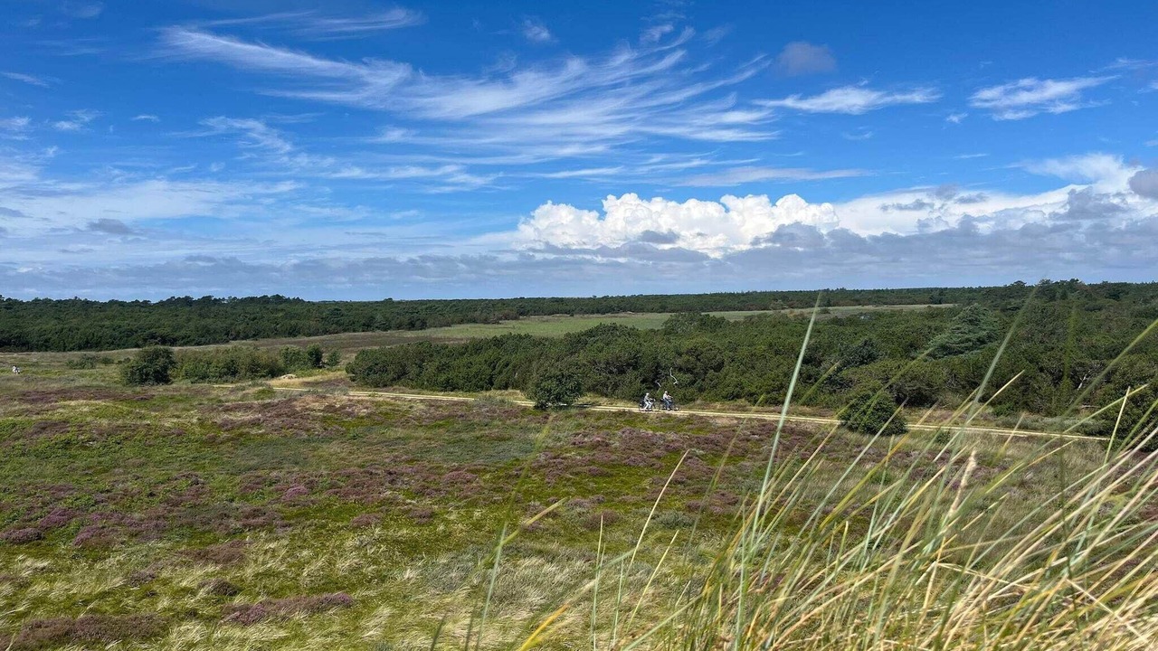 Photo of Others in Kongsmark