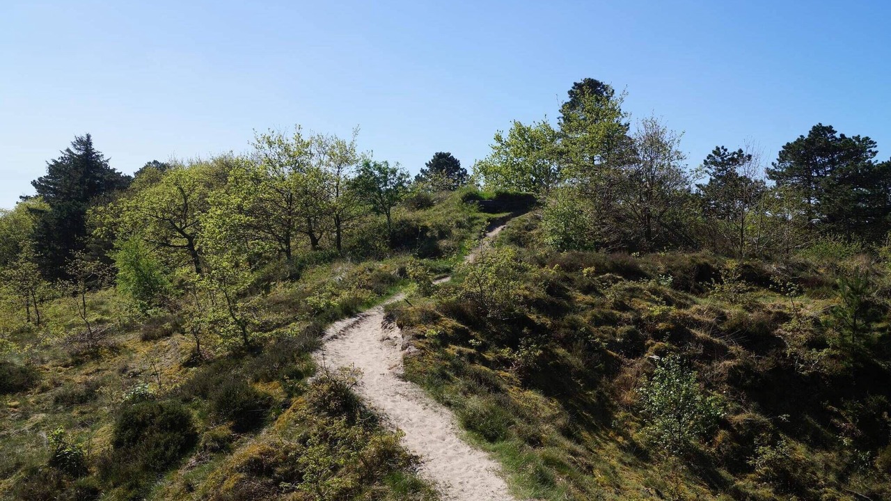 Photo of Outdoor in Kongsmark