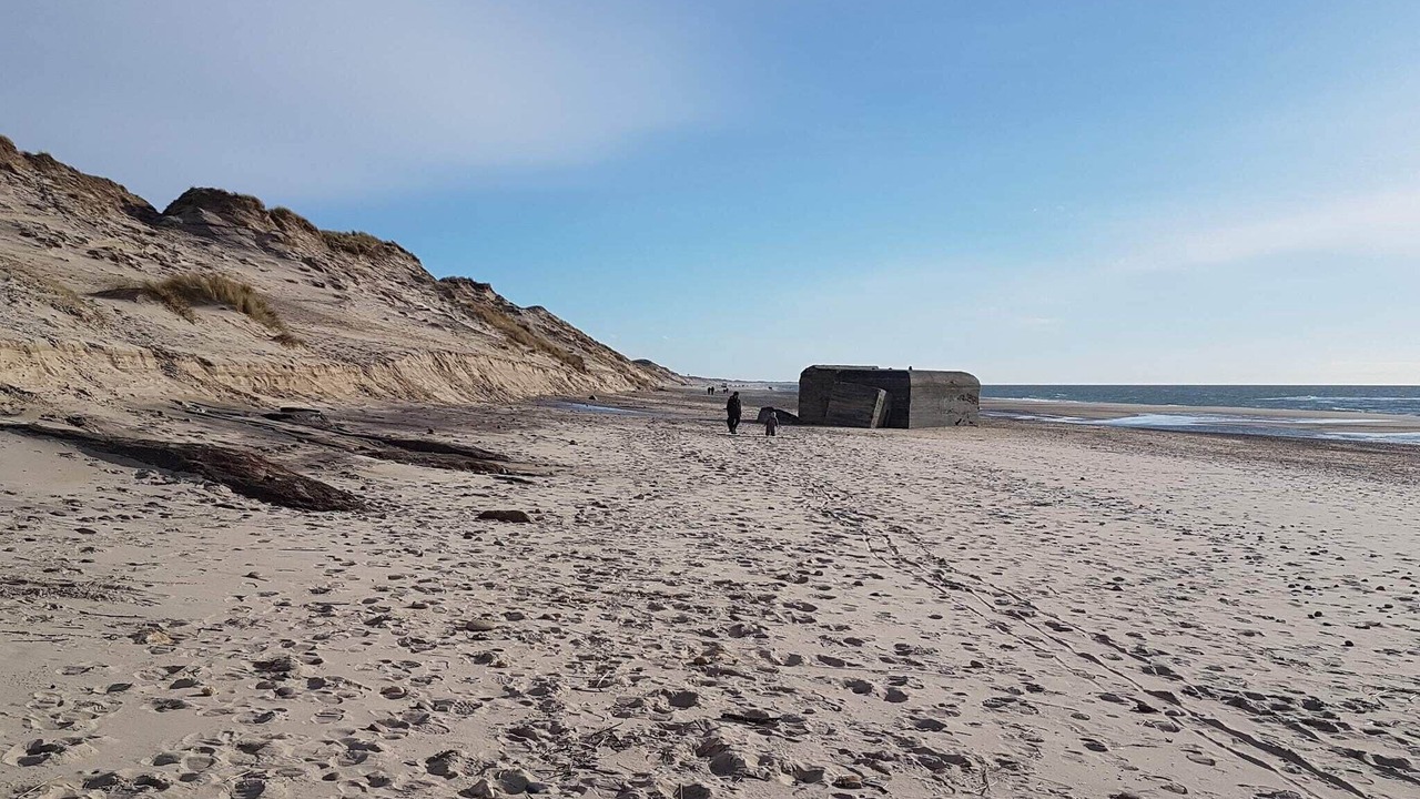 Photo of Others in Vedersø Klit
