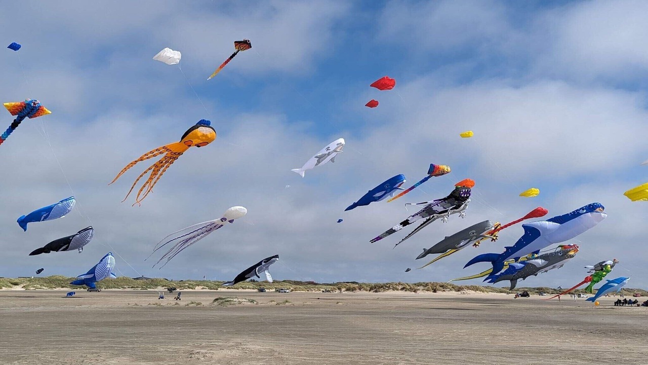 Photo of Others in Rindby Strand