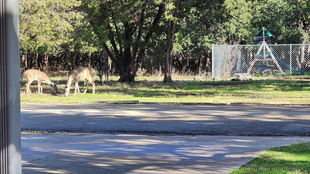 Photo of Others in Morgans Point Resort