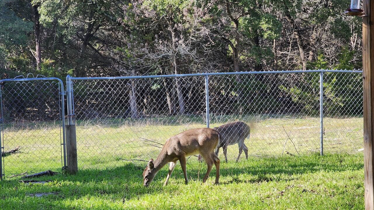 Photo of Others in Morgans Point Resort