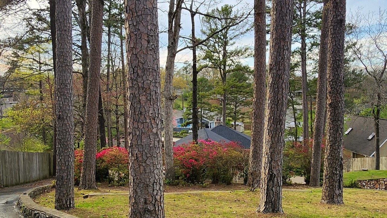 Photo of Outdoor in Mid America