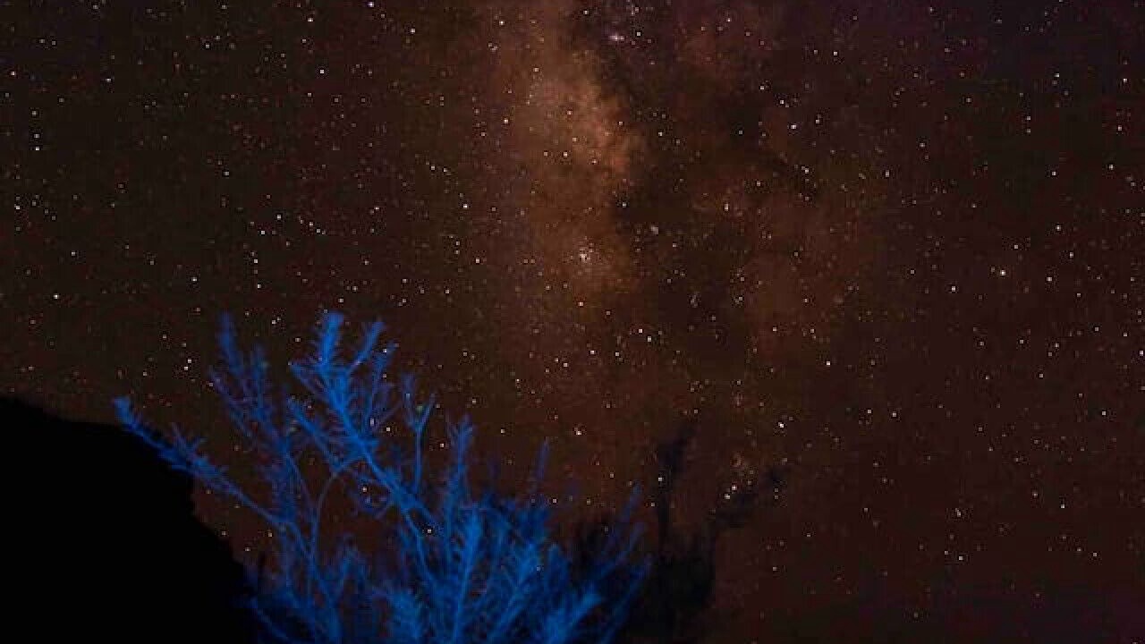 Photo of Outdoor in Terlingua