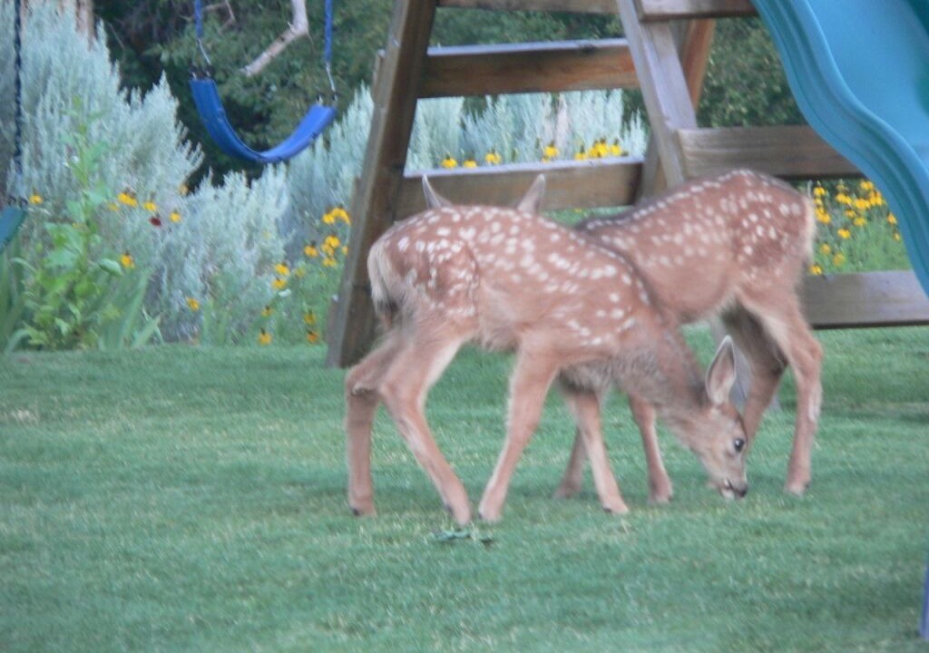 Photo of Others in Marysvale