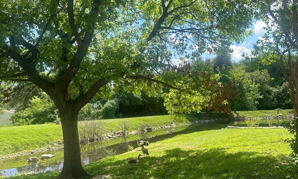 Photo of Outdoor in Medical Center District