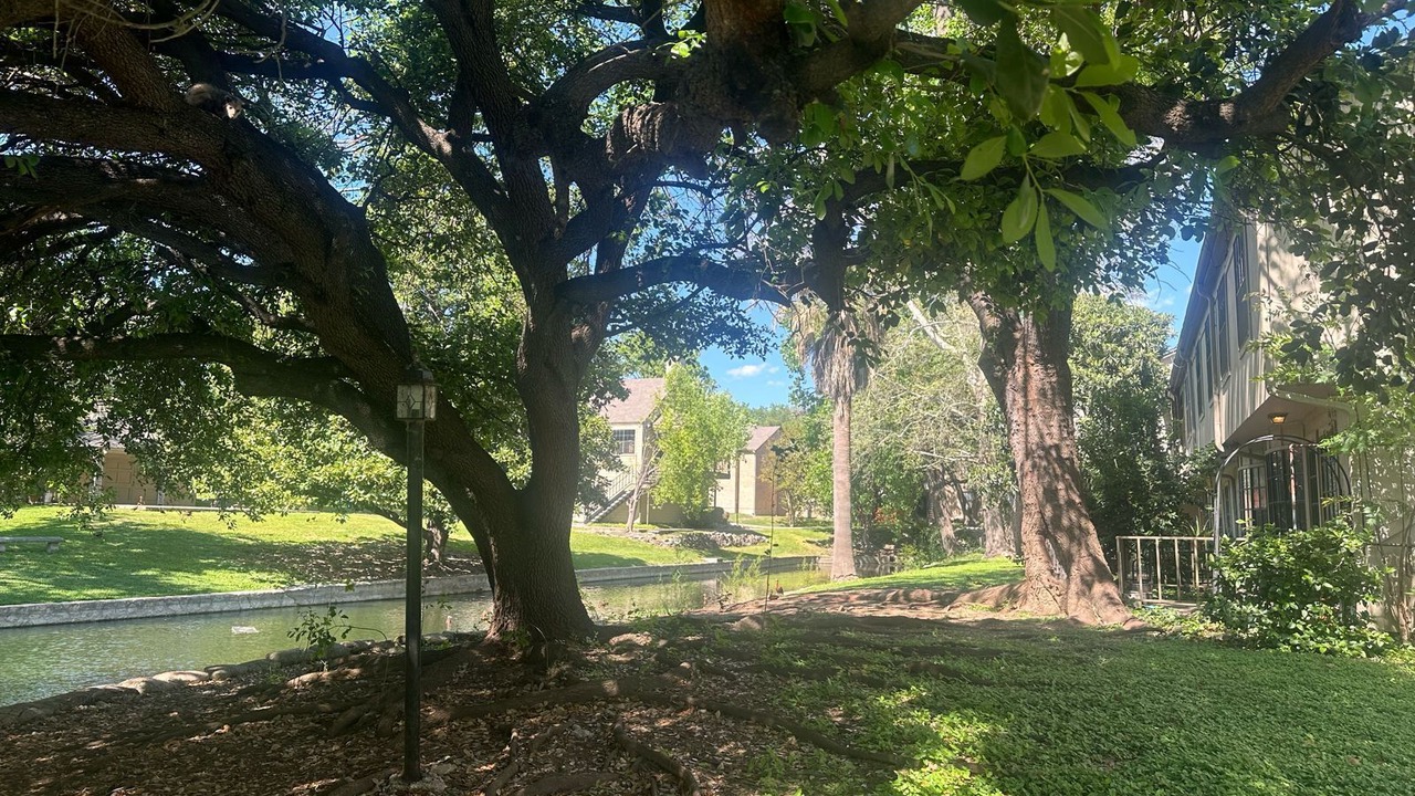 Photo of Outdoor in Medical Center District