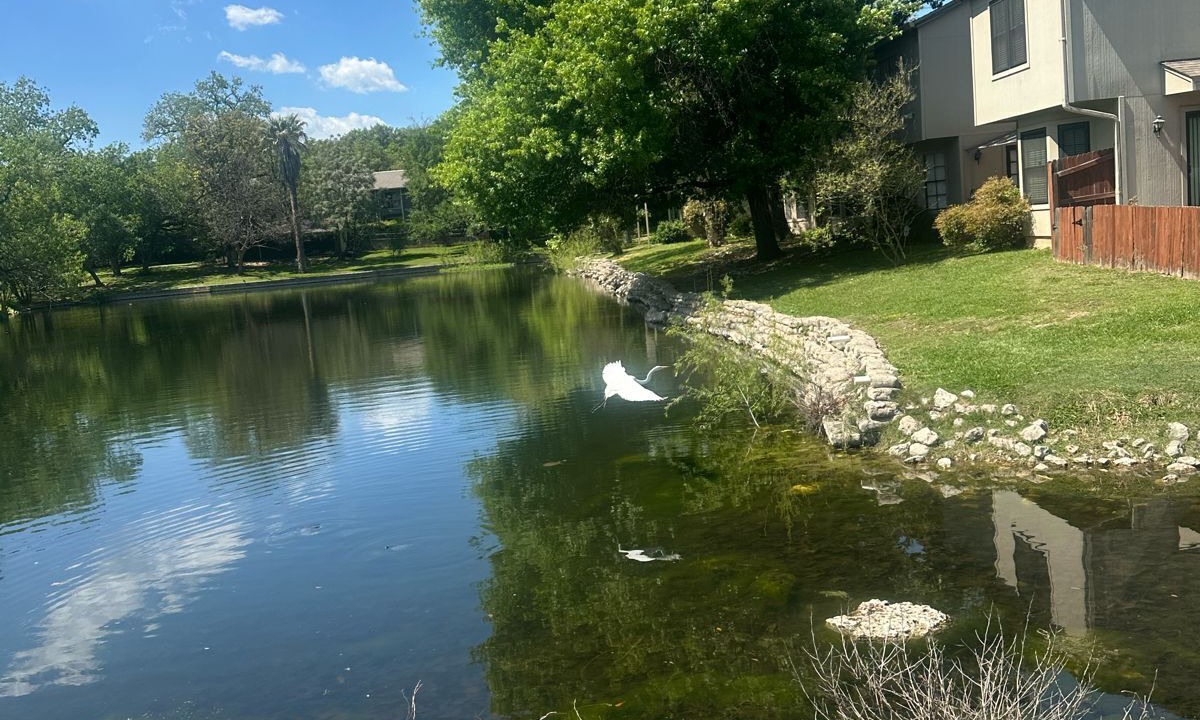 Photo of Outdoor in Medical Center District