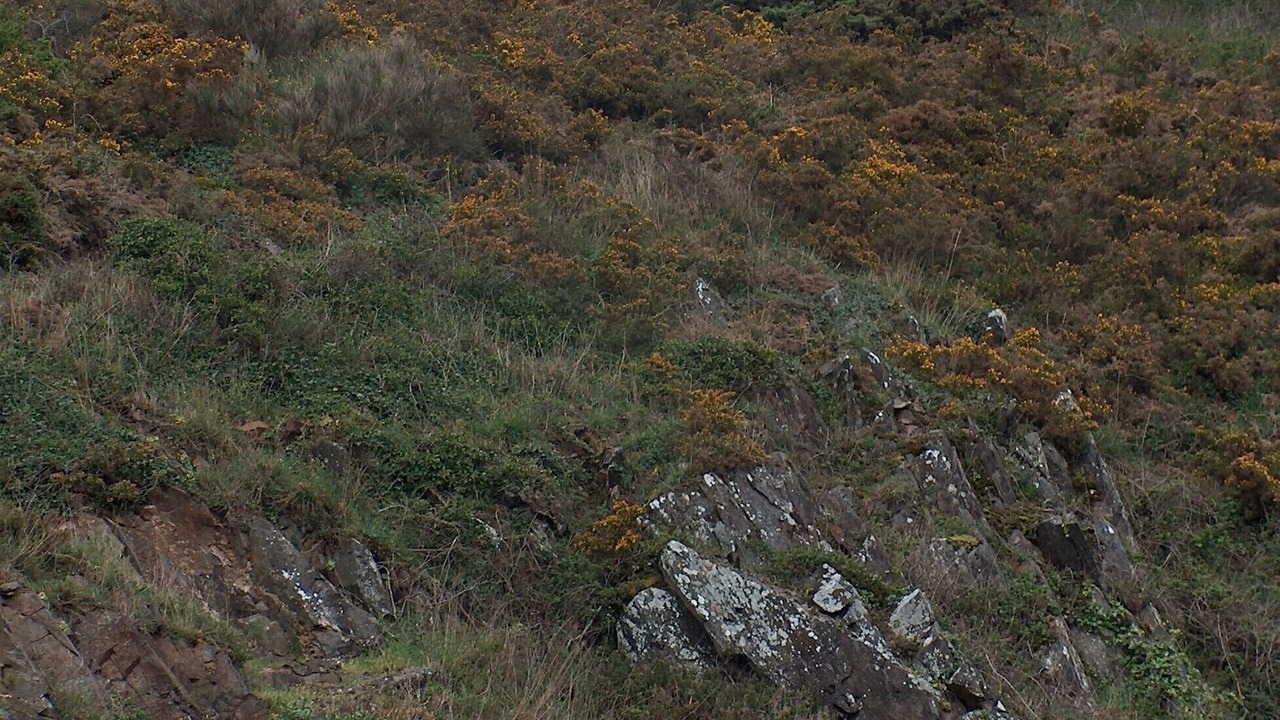 Photo of Outdoor in Champeaux