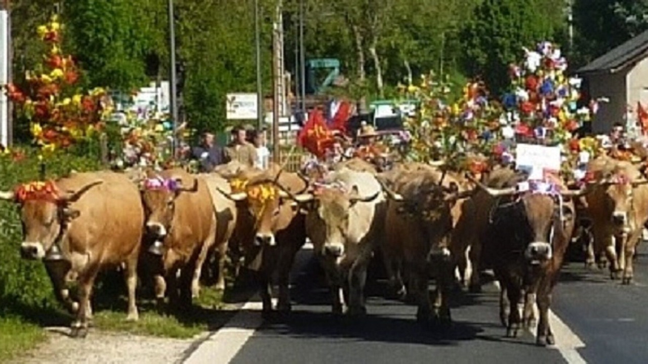 Photo of Others in Palmas-d'Aveyron
