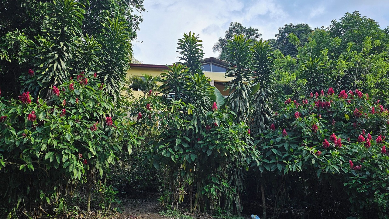 Photo of Outdoor in Jarabacoa
