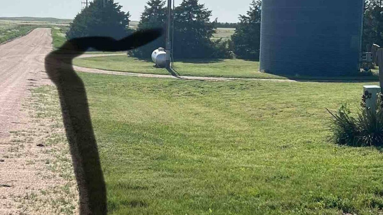 Photo of Others in Wray