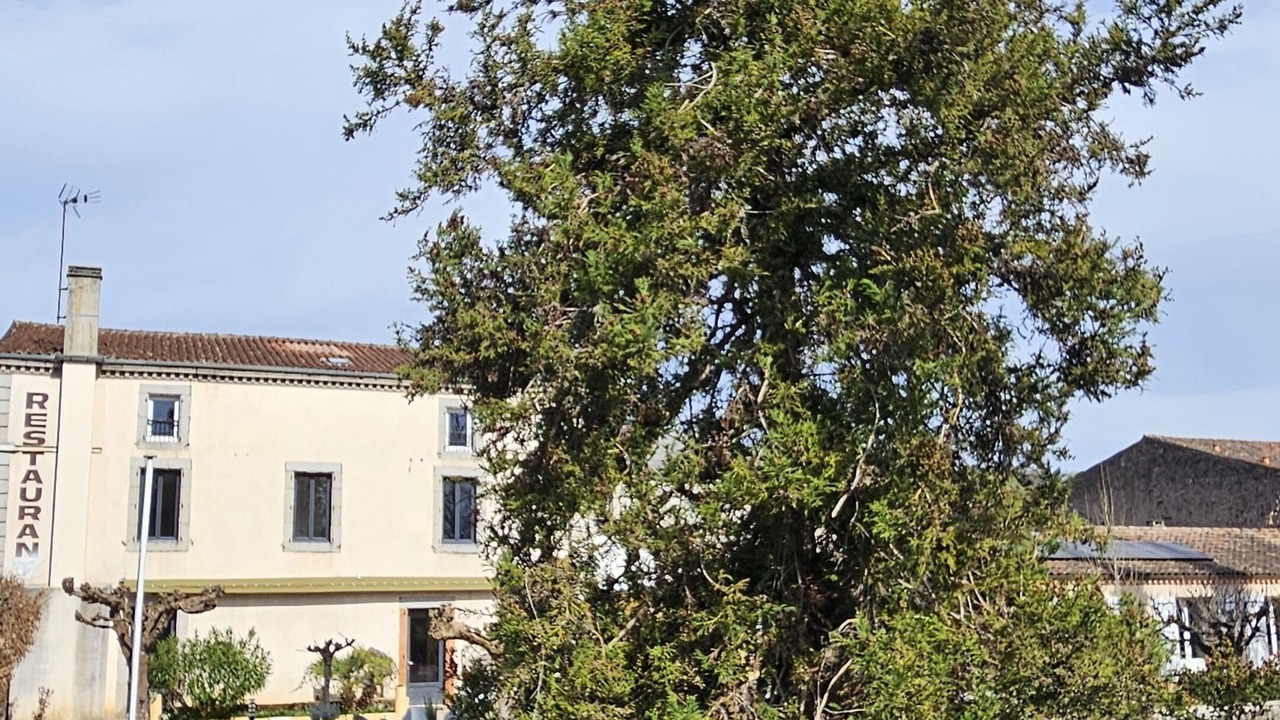 Photo of Outdoor in Burlats