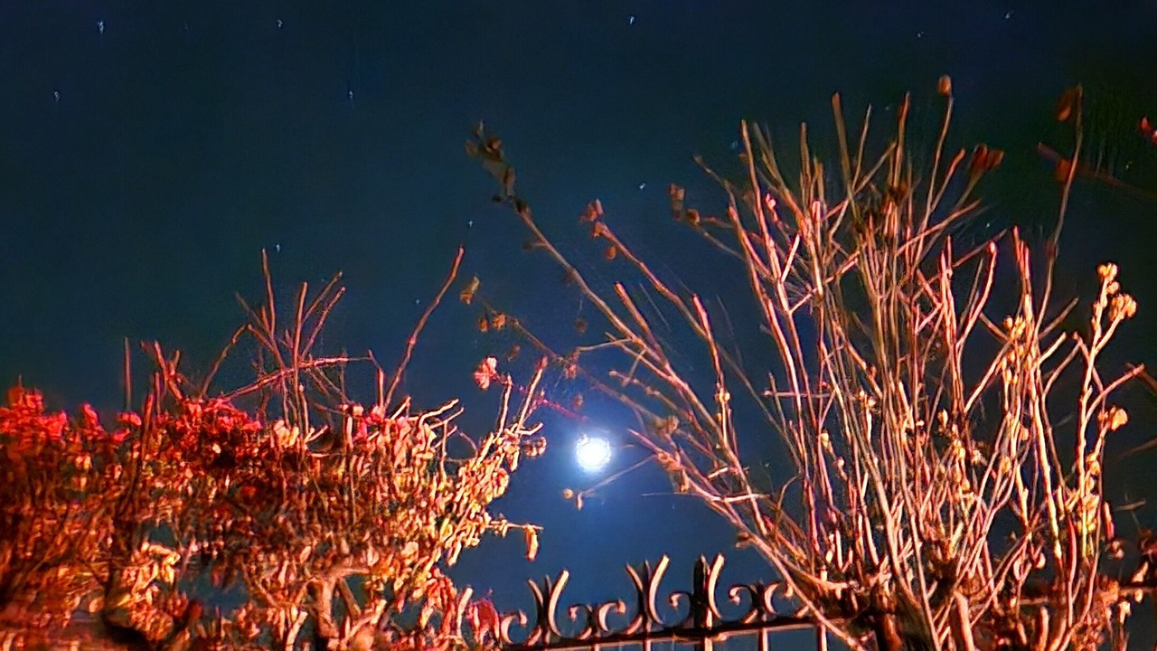 Photo of Outdoor in Burlats