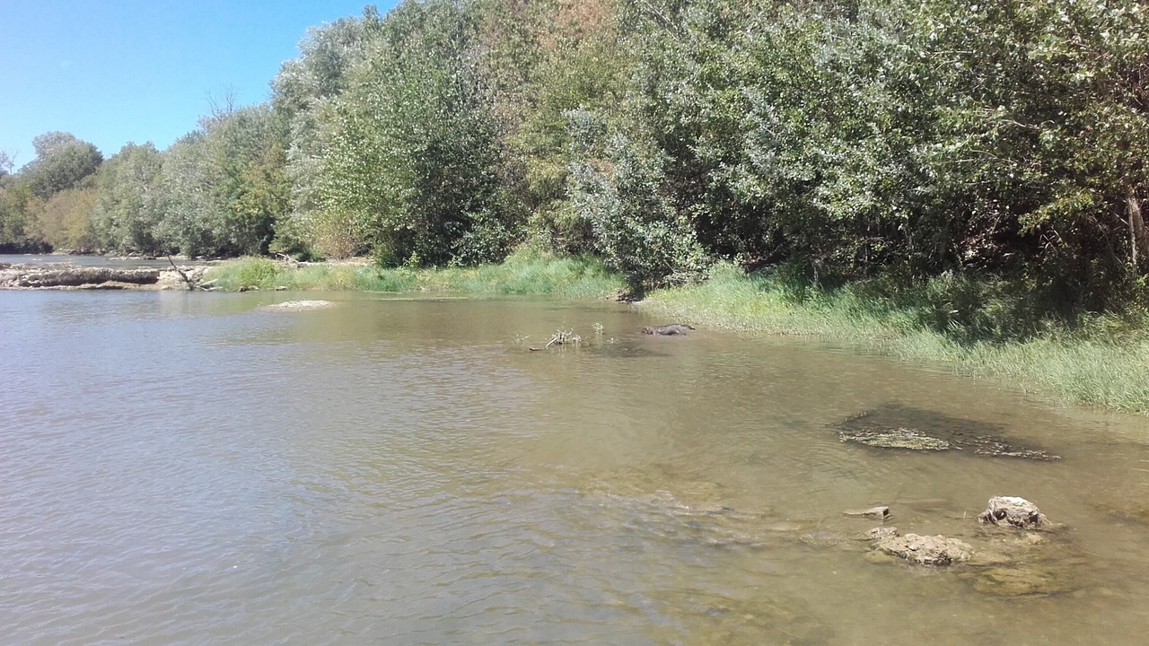 Photo of Outdoor in Cuxac-dʼAude