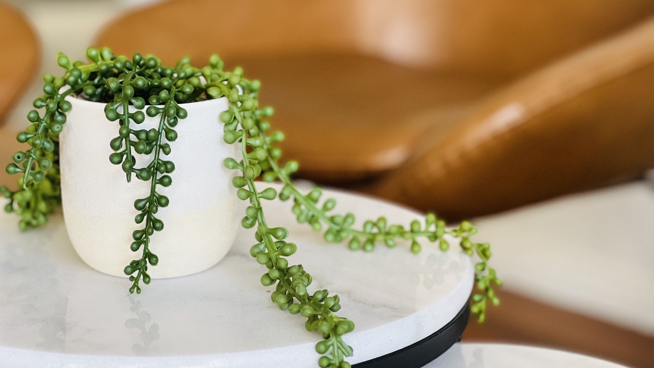 Photo of Others in Fishing Point