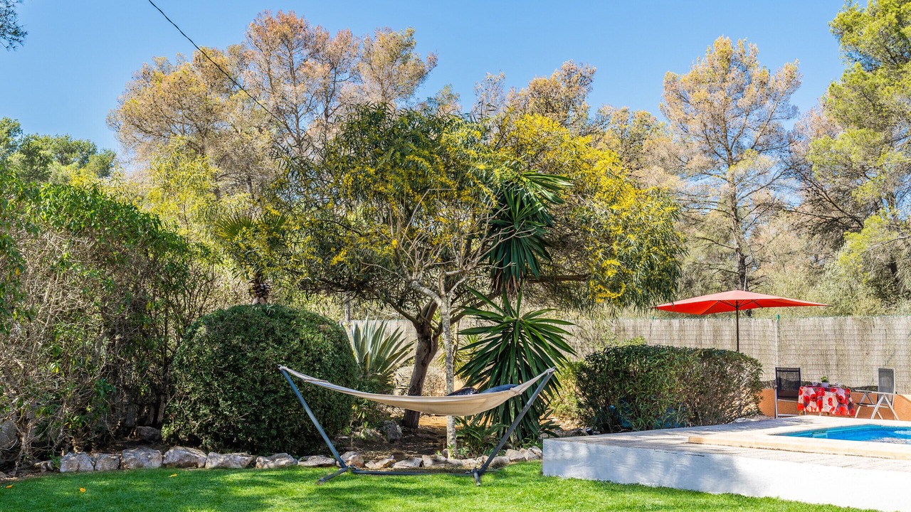 Photo of Outdoor in Costa Nova