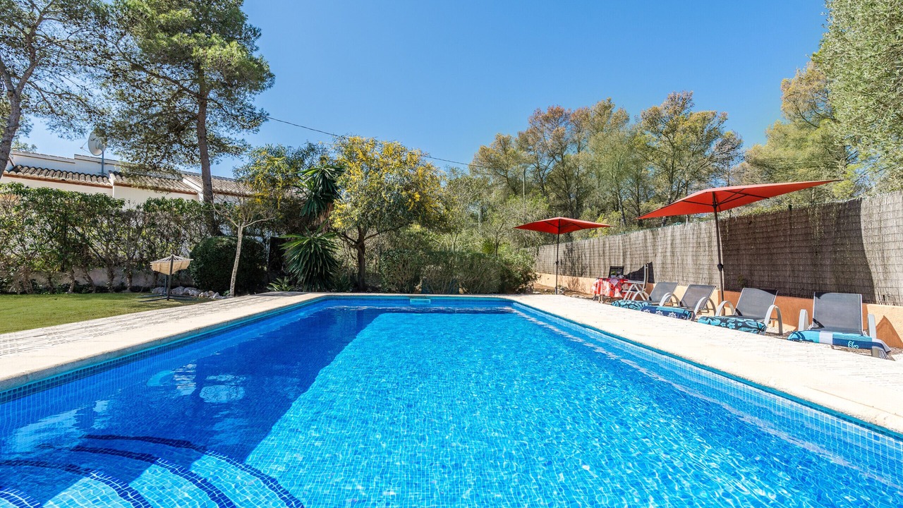 Photo of Outdoor in Costa Nova