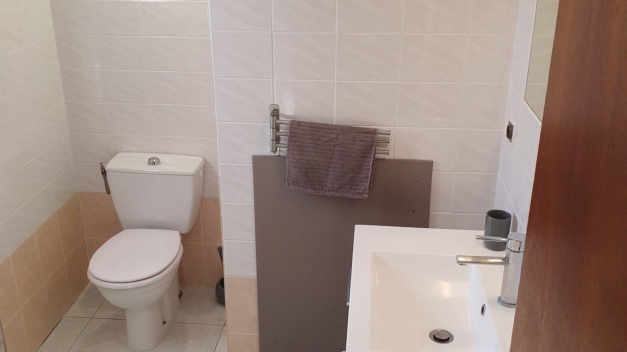Photo of Bathroom in Aregno