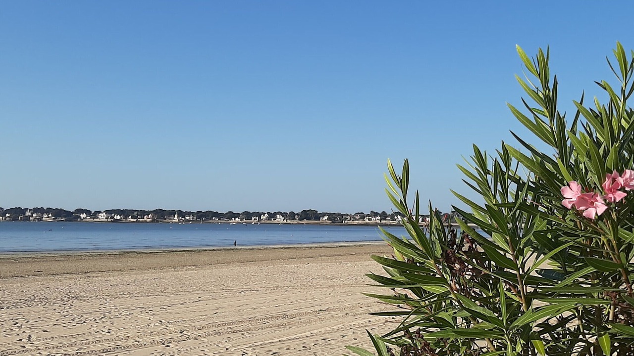 Photo of Others in Guerande
