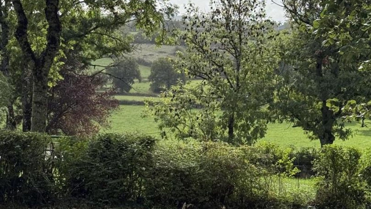 Photo of Outdoor in Gipcy