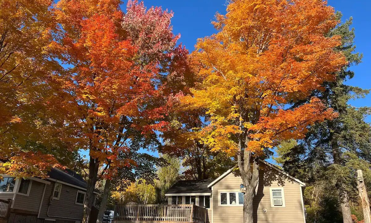 Photo of Outdoor in Muskoka Lakes