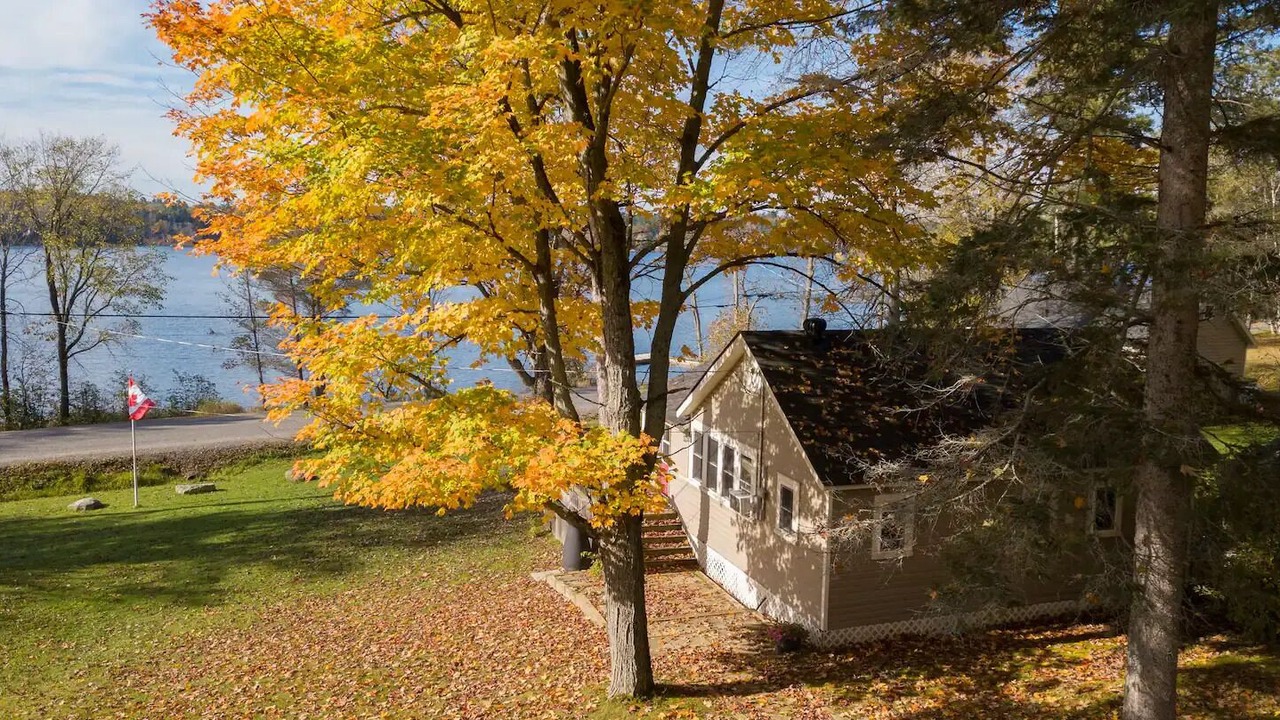 Photo of Outdoor in Muskoka Lakes