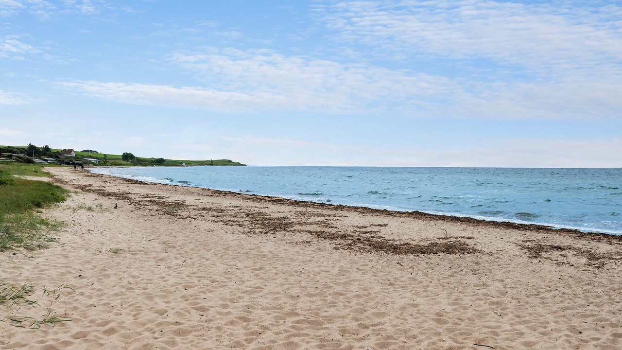 Photo of Others in Skødshoved Strand