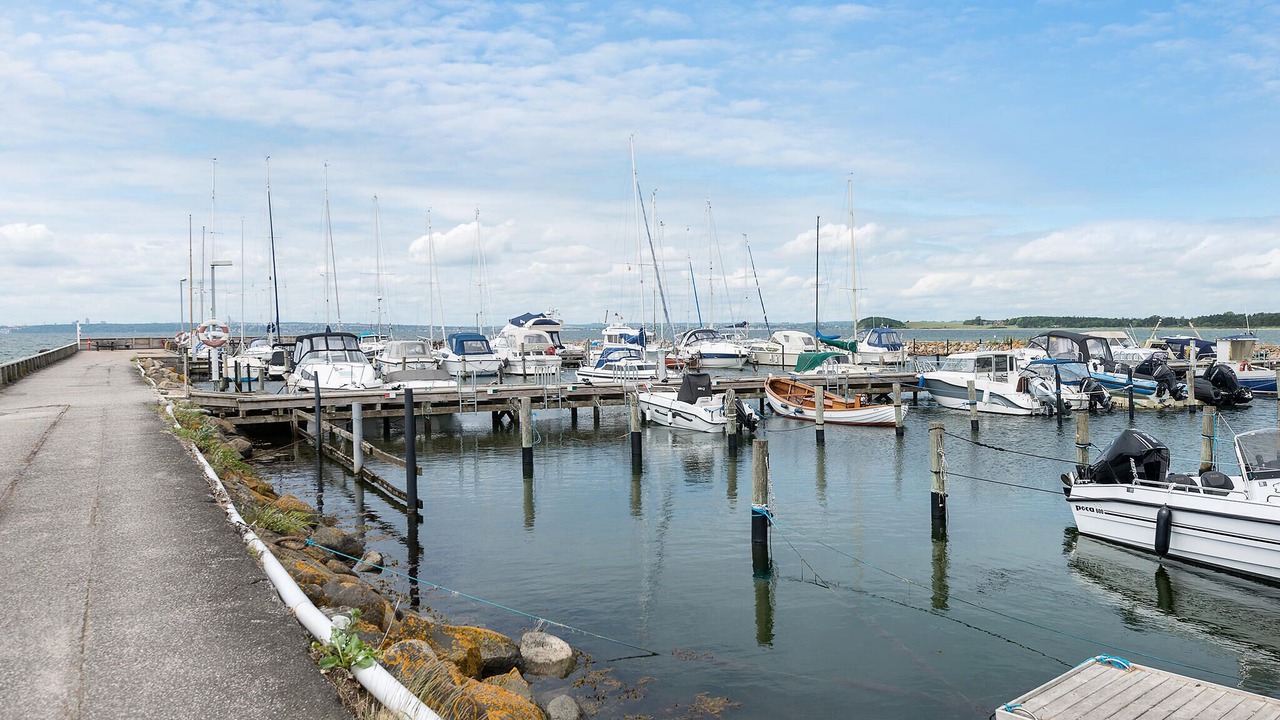 Photo of Others in Skødshoved Strand