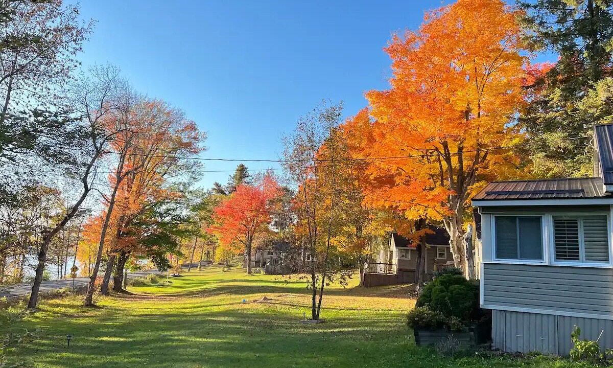 Photo of Outdoor in Muskoka Lakes