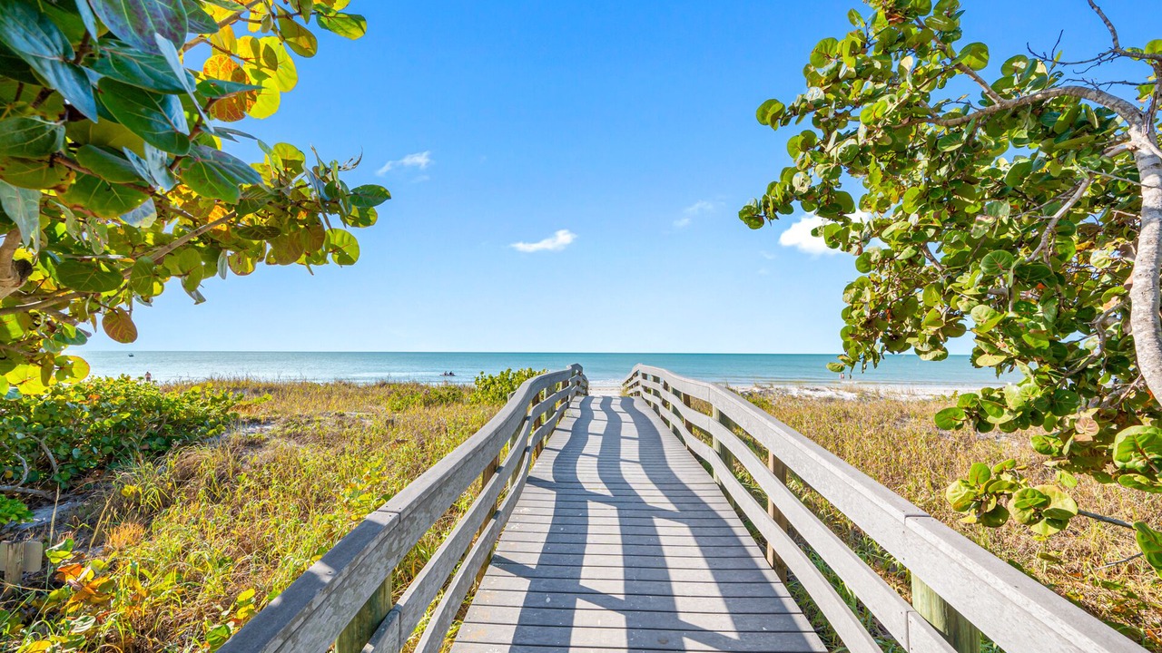 Photo of Others in Indian Rocks Beach