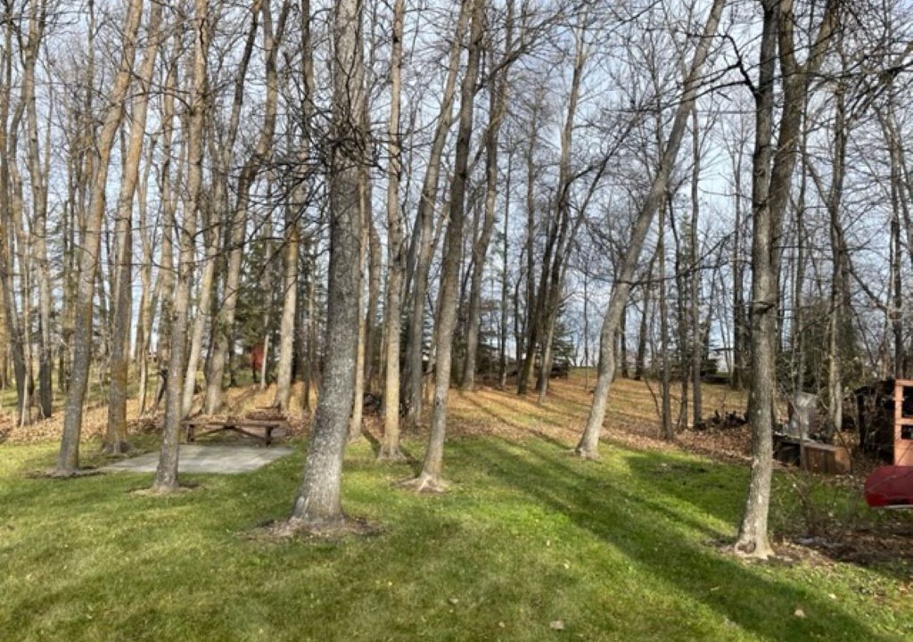 Photo of Others in Gimli