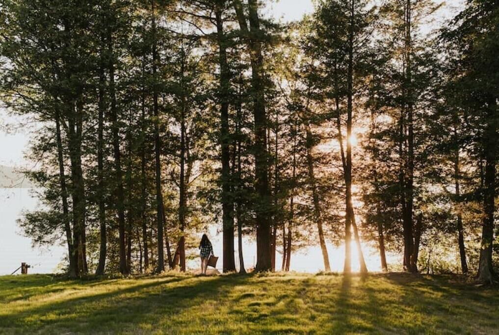 Photo of Outdoor in Calabogie