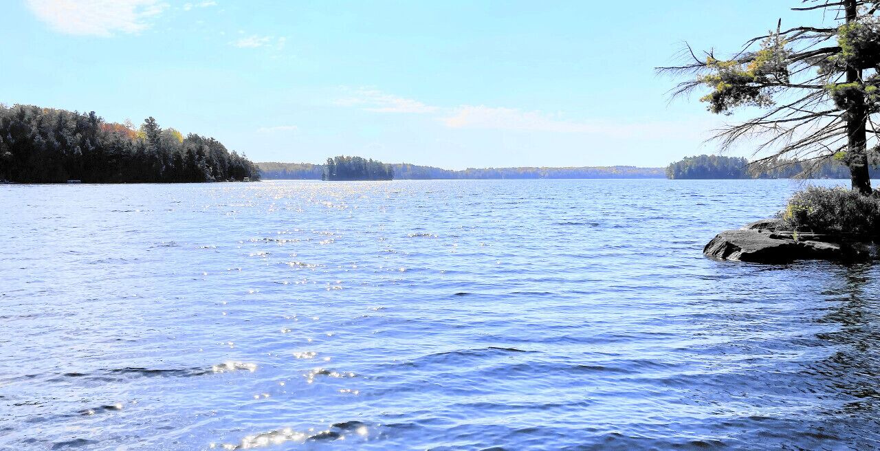 Photo of Others in North Kawartha