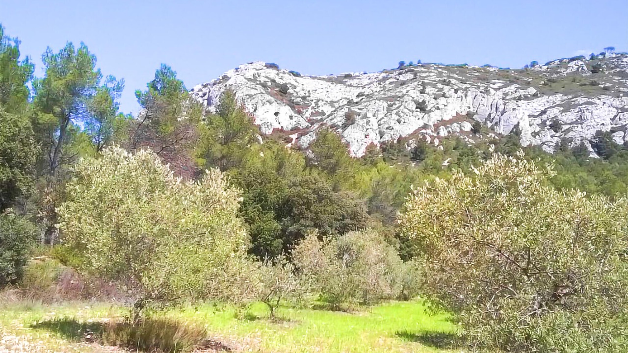 Photo of Others in Pertuis