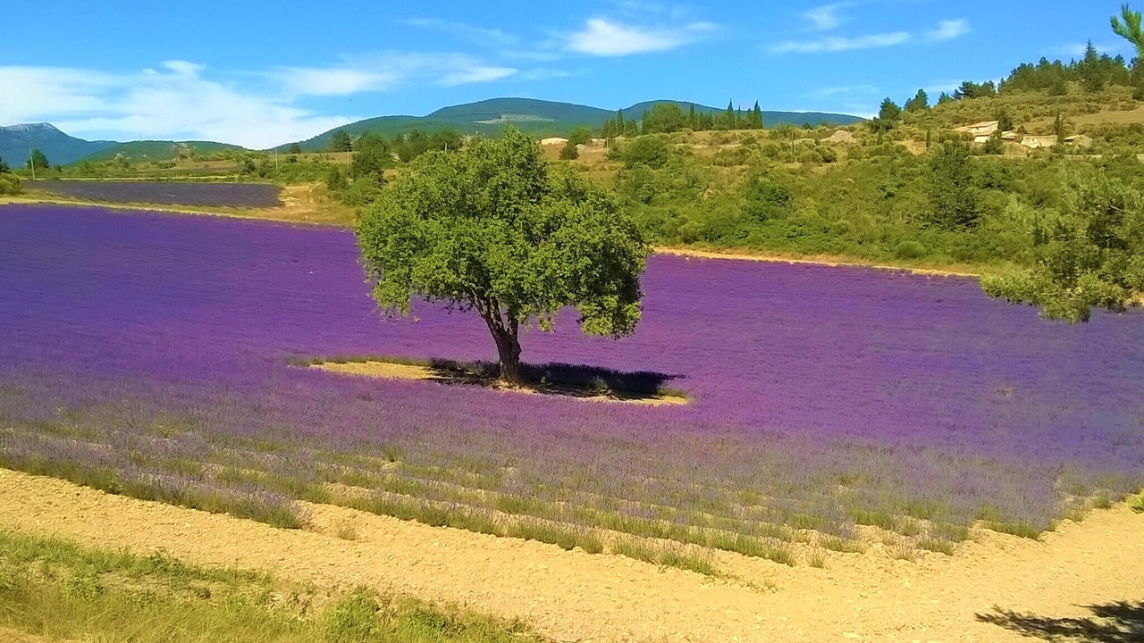 Photo of Others in Pertuis