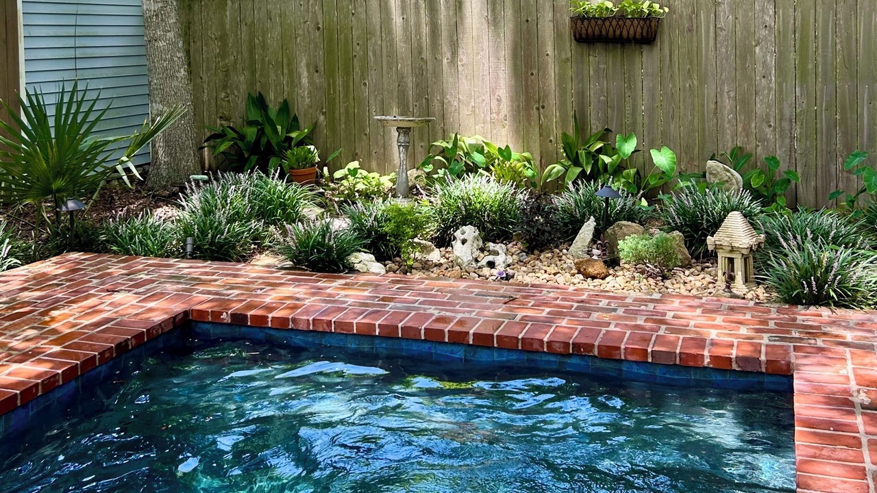 Photo of Outdoor in Mandeville