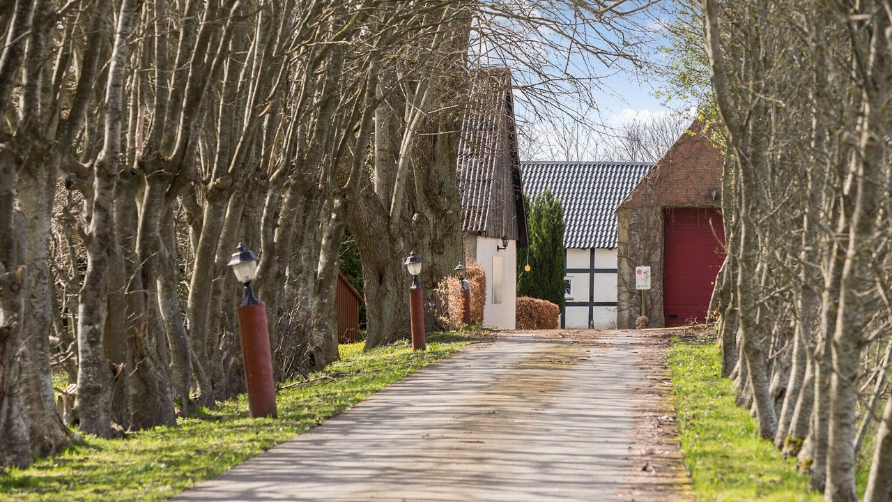 Photo of Others in Ronde