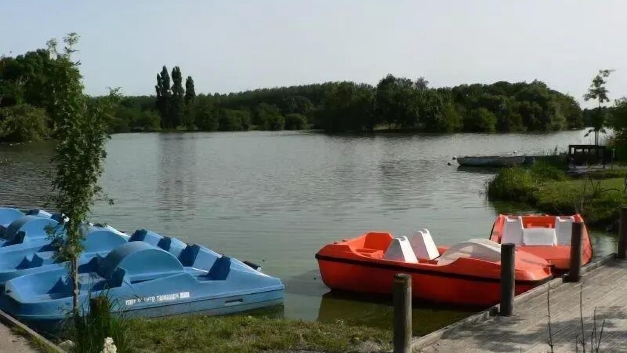 Photo of Others in Saint-Julien-de-Concelles