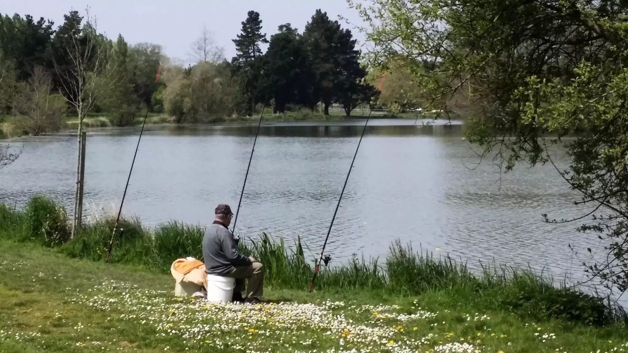 Photo of Others in Saint-Julien-de-Concelles