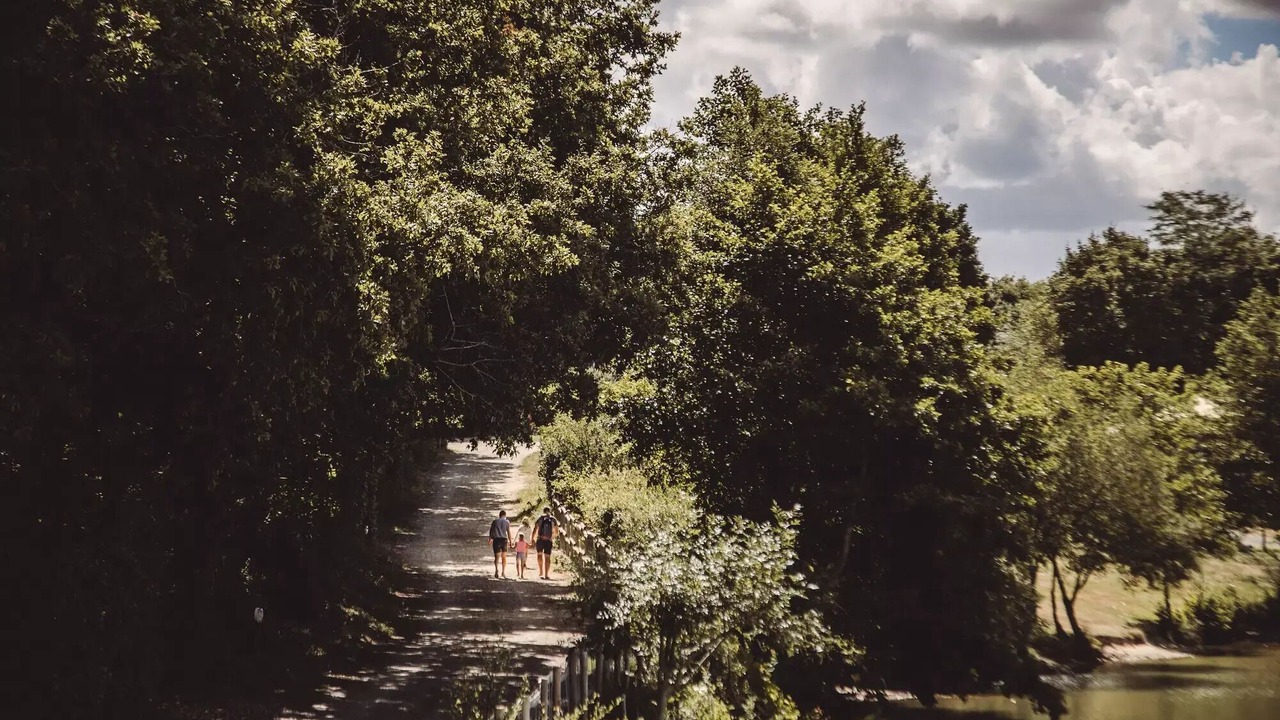 Photo of Others in Saint-Julien-des-Landes