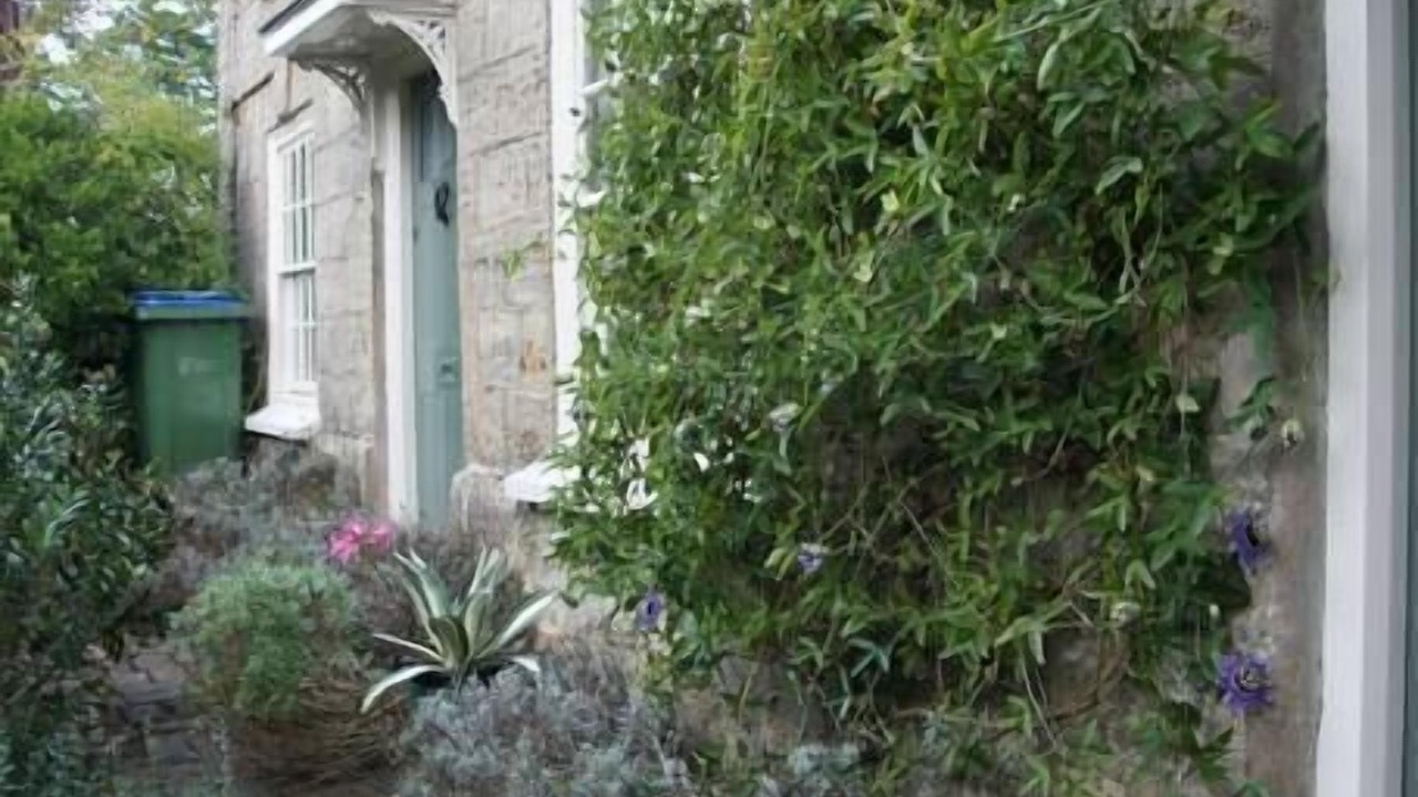 Photo of Others in Pulborough