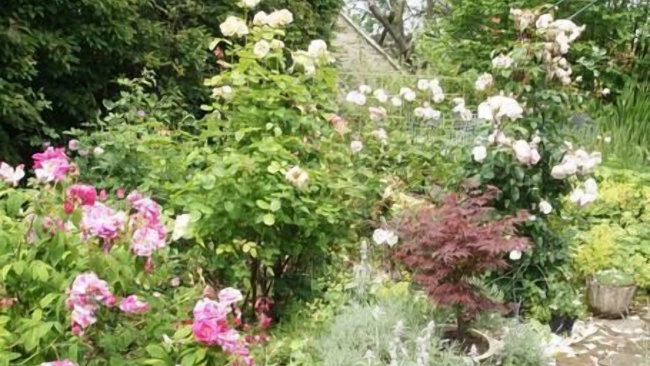 Photo of Outdoor in Pulborough