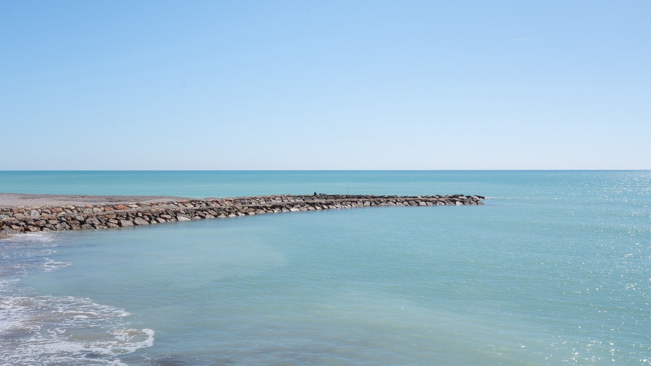Photo of Others in Playa de Almarda