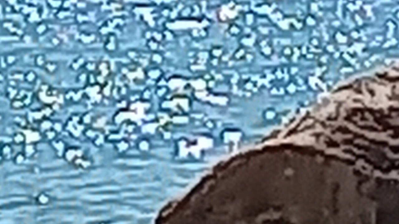Photo of Others in Playa de Almarda