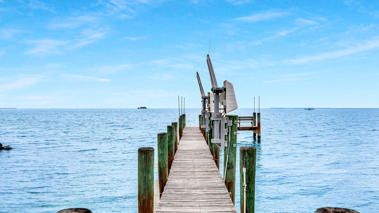 Photo of Others in Hammer Point