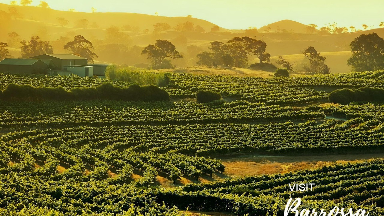 Photo of Others in Adelaide Central Business District
