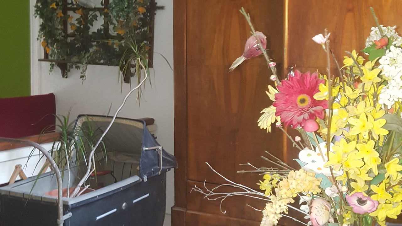 Photo of Others in Raon-sur-Plaine