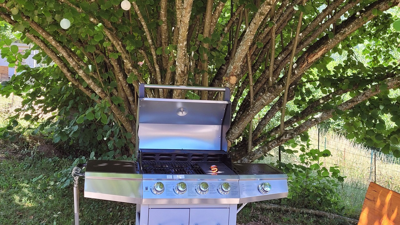 Photo of Outdoor in Raon-sur-Plaine