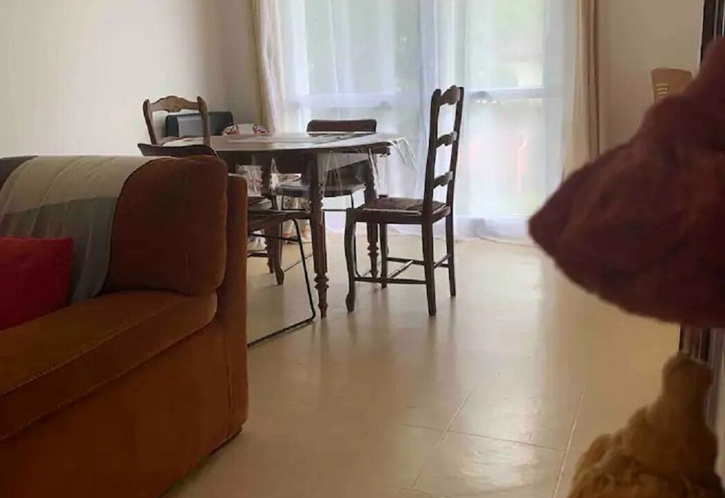 Photo of Livingroom in La Roche-Posay